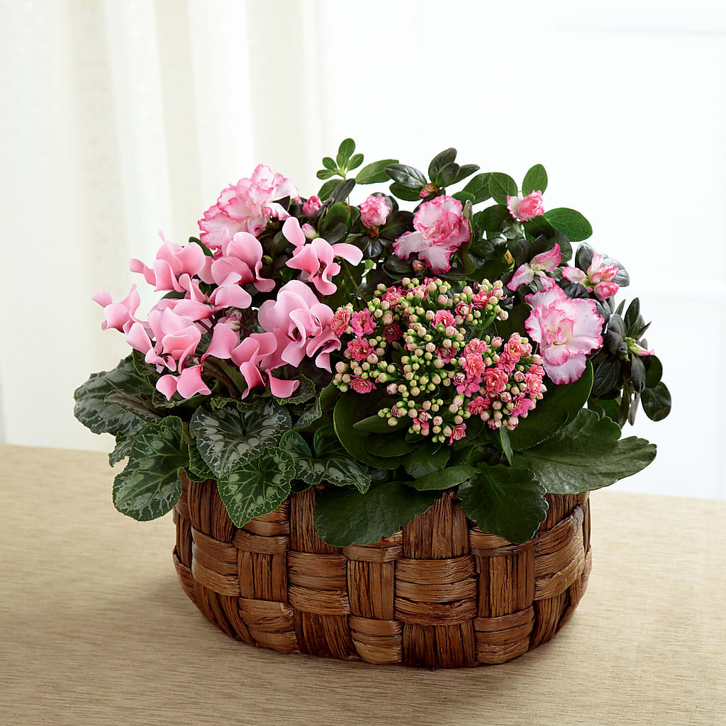 Pink Assortment – Lolas Blooms, Somerset NJ