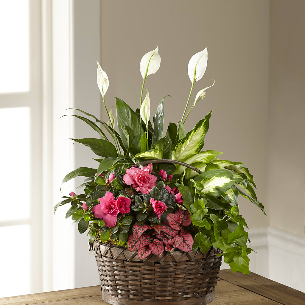 Dream in Pink Dishgarden – Lolas Blooms, Somerset NJ