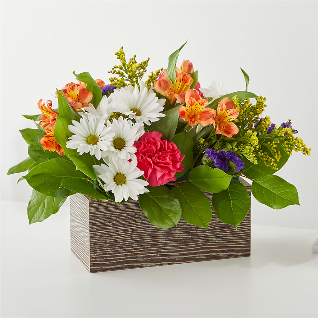 Oopsie Daisy Box Bouquet – Lolas Blooms, Somerset NJ