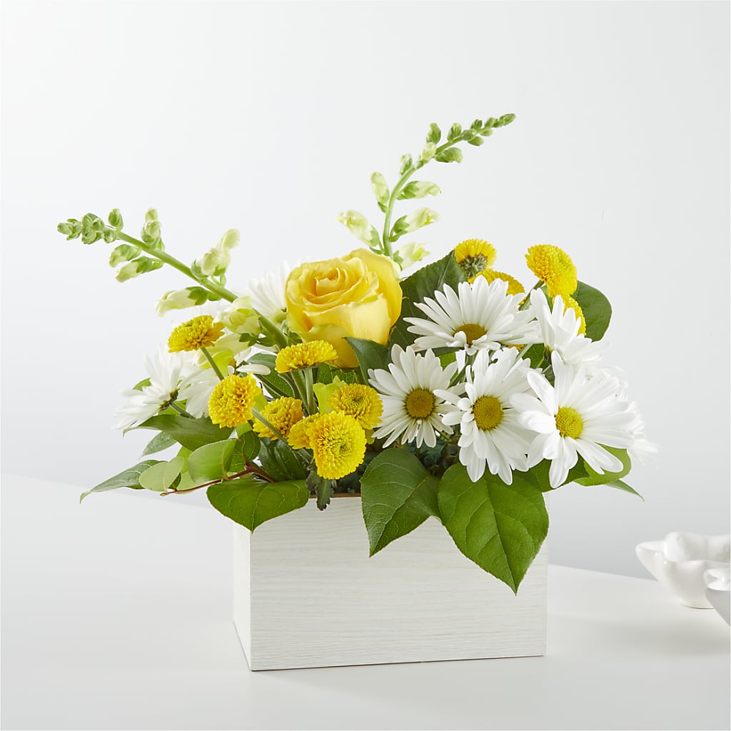Sun Salutation Box Bouquet – Lolas Blooms, Somerset NJ