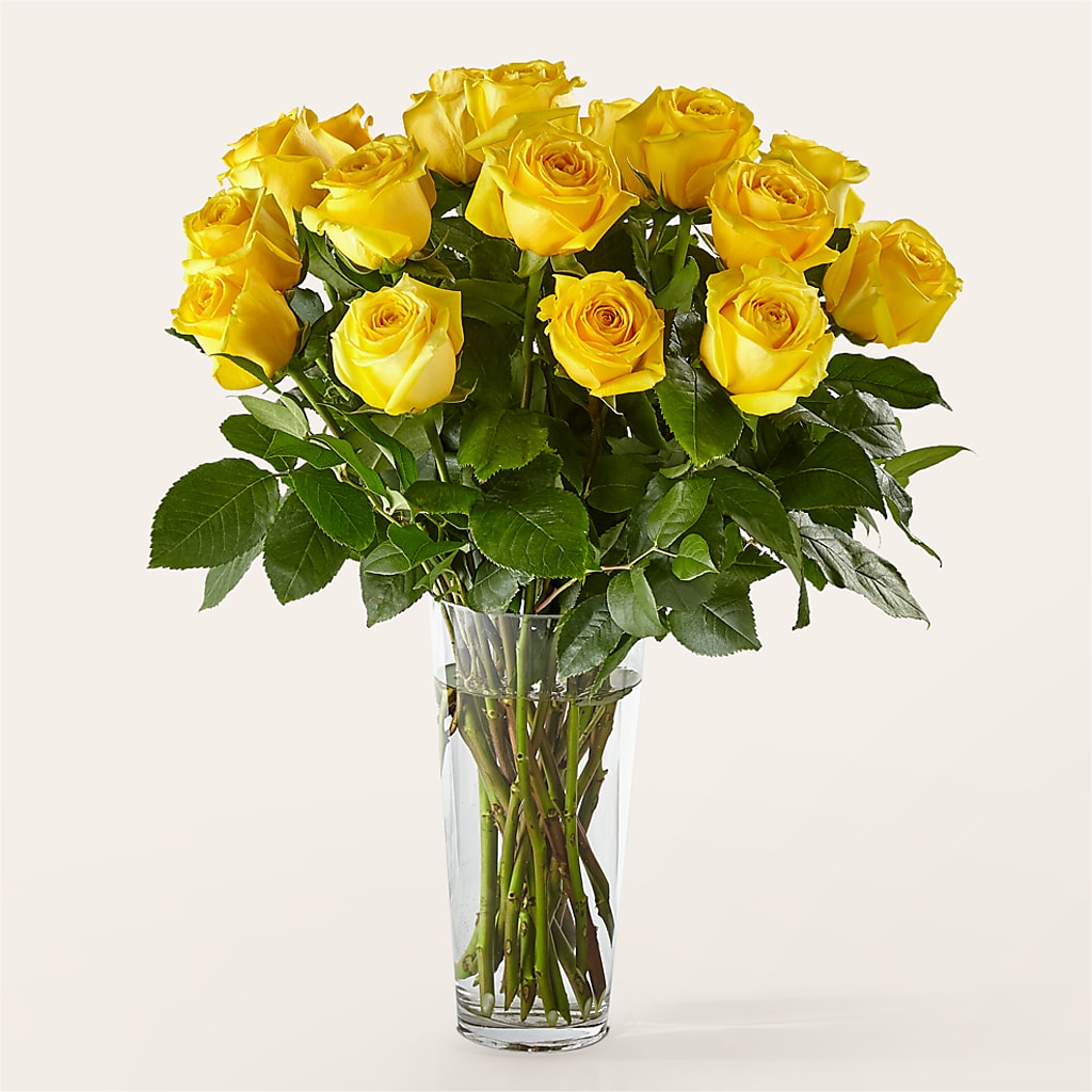 Long Stem Yellow Rose Bouquet – Lolas Blooms, Somerset NJ