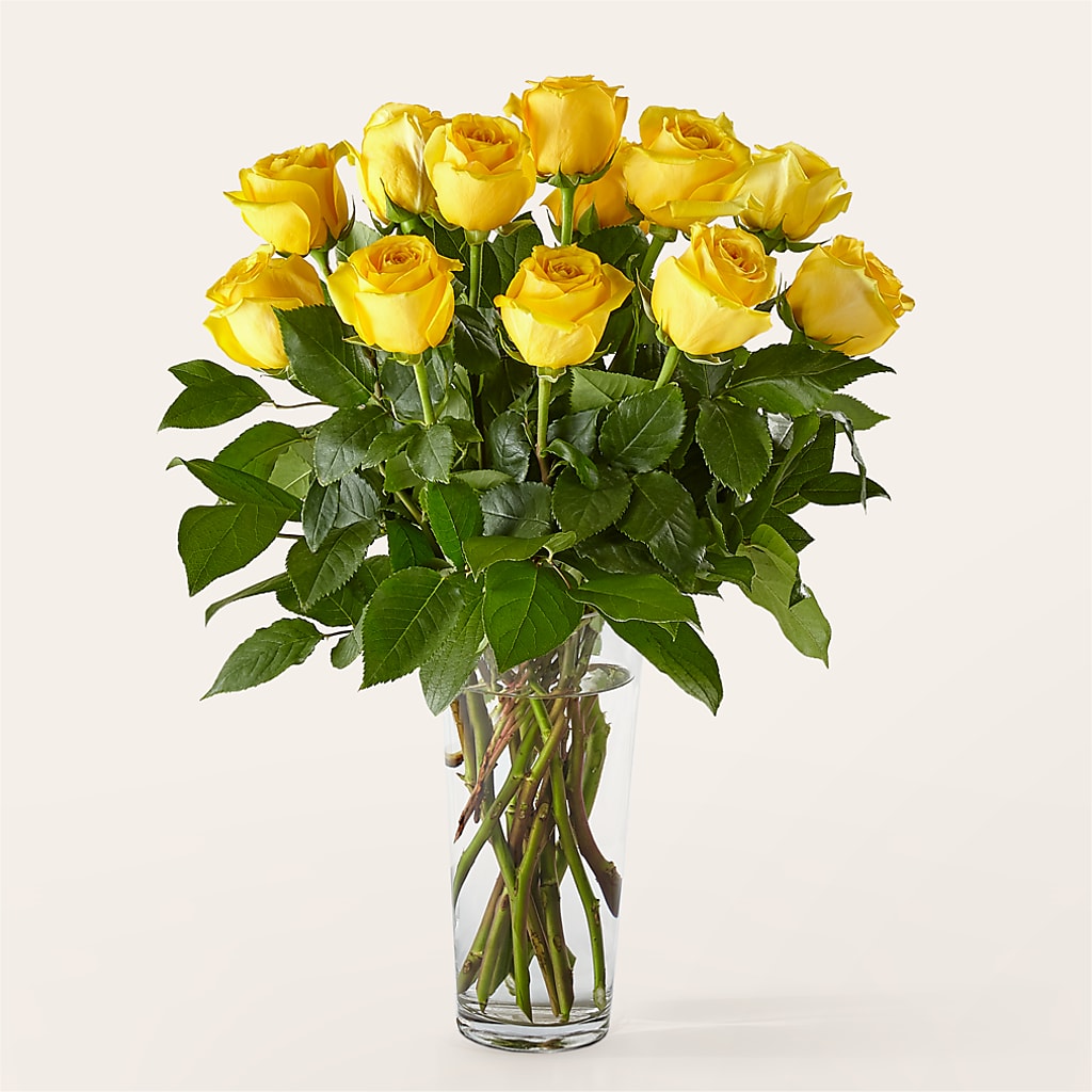 Long Stem Yellow Rose Bouquet – Lolas Blooms, Somerset NJ