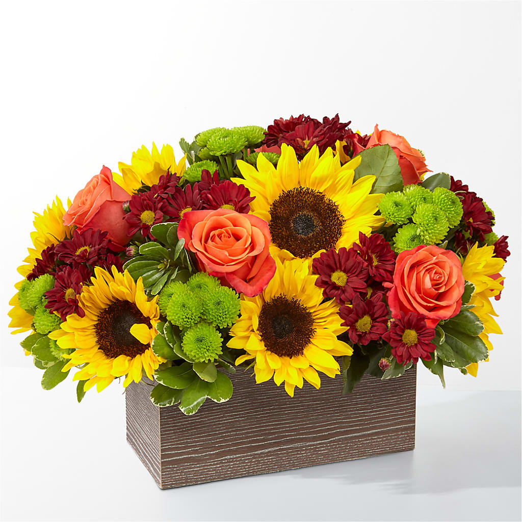 Happy Harvest Garden – Lolas Blooms, Somerset NJ