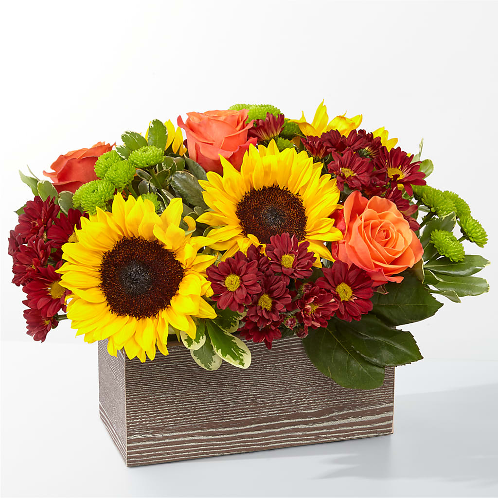 Happy Harvest Garden – Lolas Blooms, Somerset NJ