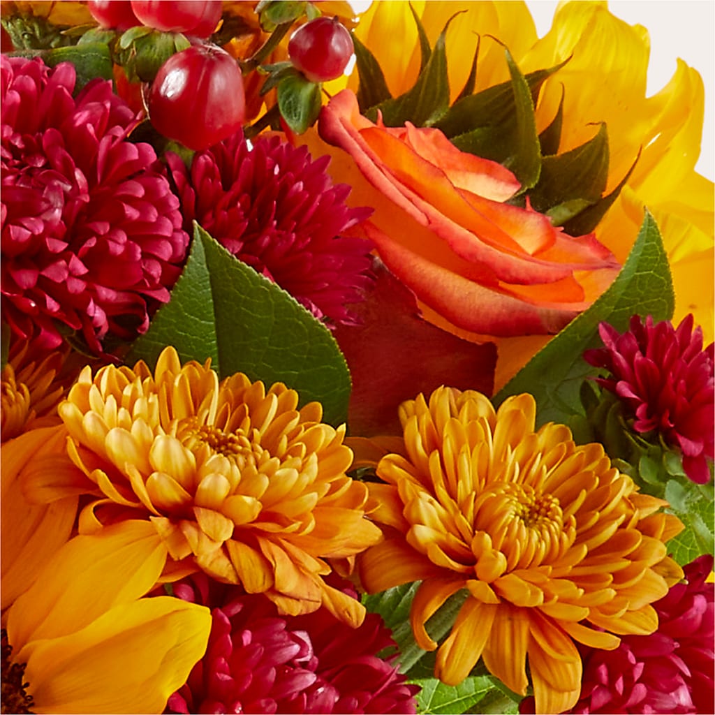 Sweater Season - A Florist Original – Lolas Blooms, Somerset NJ