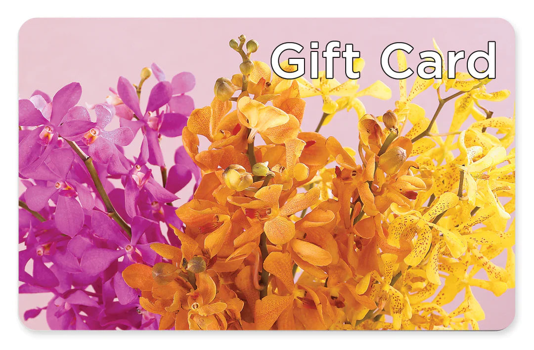 Gift Card – Lolas Blooms, Somerset NJ