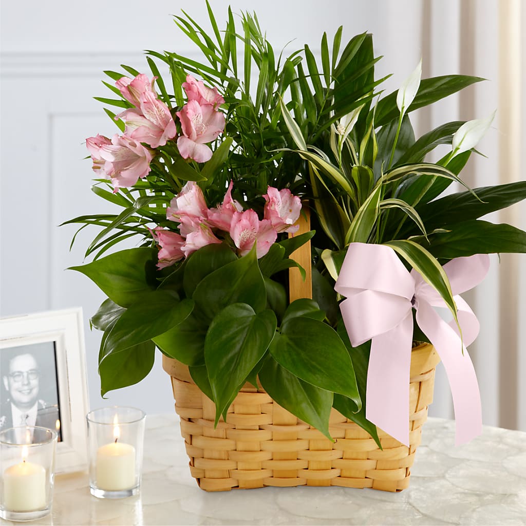 Living Spirit Dishgarden – Lolas Blooms, Somerset NJ