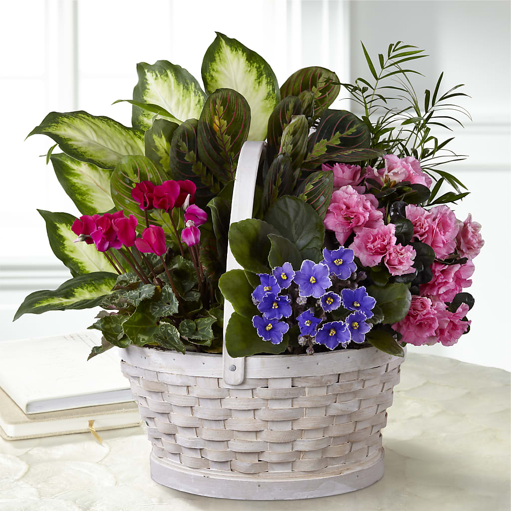 Peaceful Garden Planter – Lolas Blooms, Somerset NJ