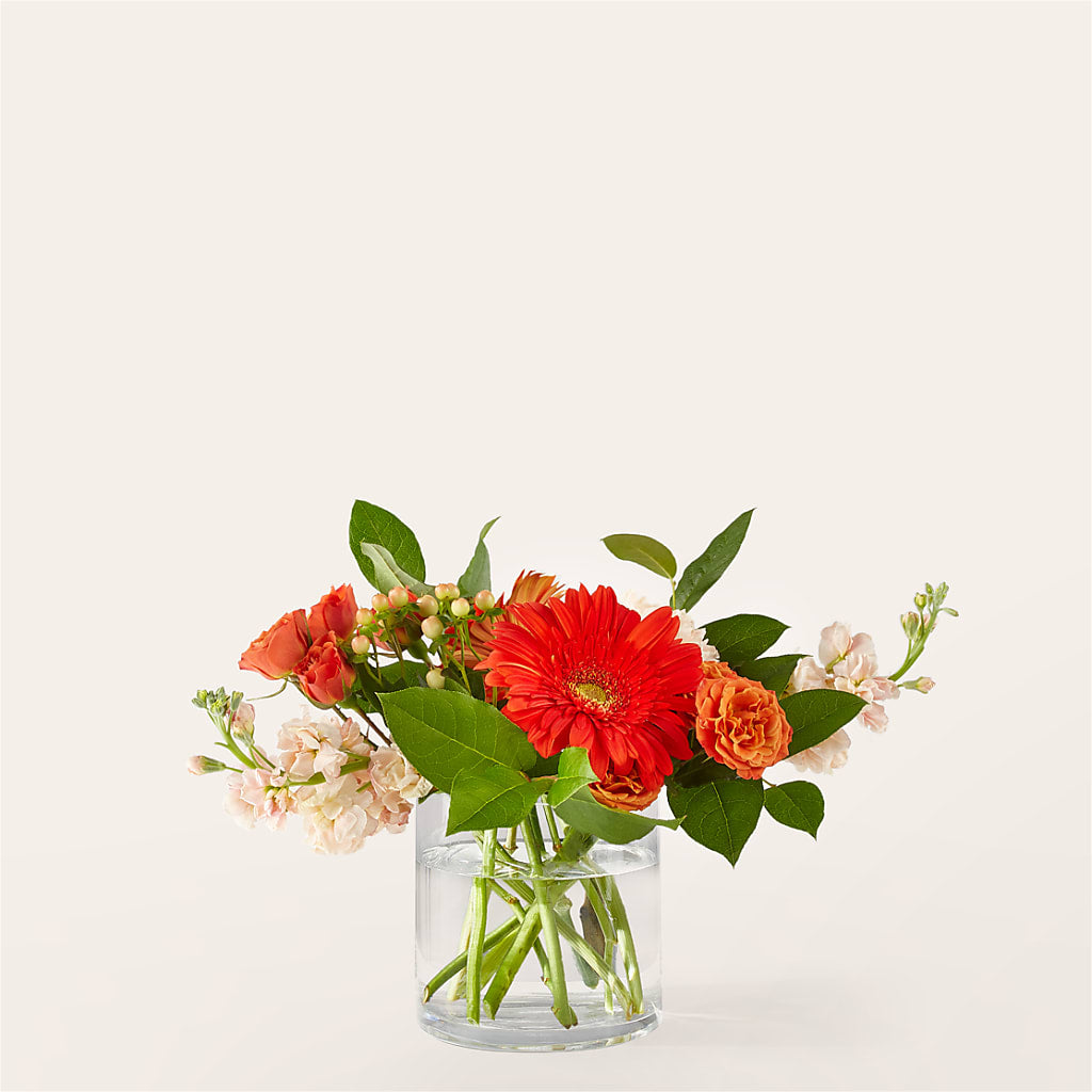 Paloma Please Bouquet – Lolas Blooms, Somerset NJ