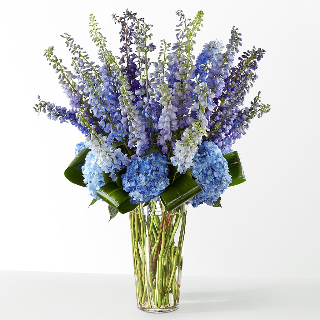 The Editorial – Lolas Blooms, Somerset NJ