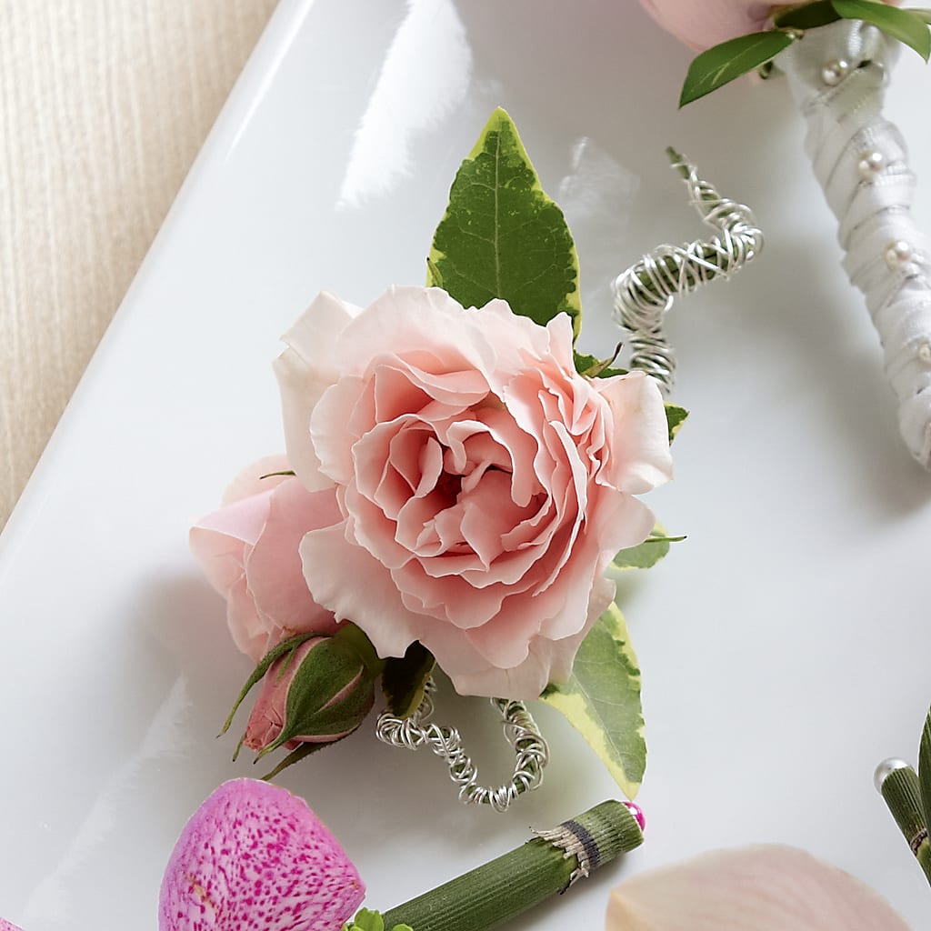 Pink Spray Rose Boutonniere – Lolas Blooms, Somerset NJ