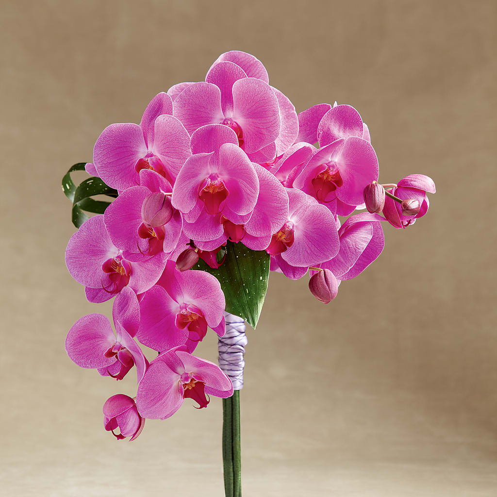 Glorious Bouquet – Lolas Blooms, Somerset NJ