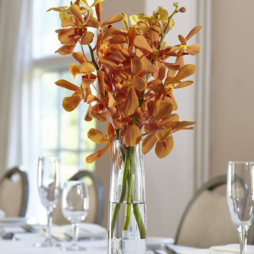 Orange Mokara Bud Vase – Lolas Blooms, Somerset NJ