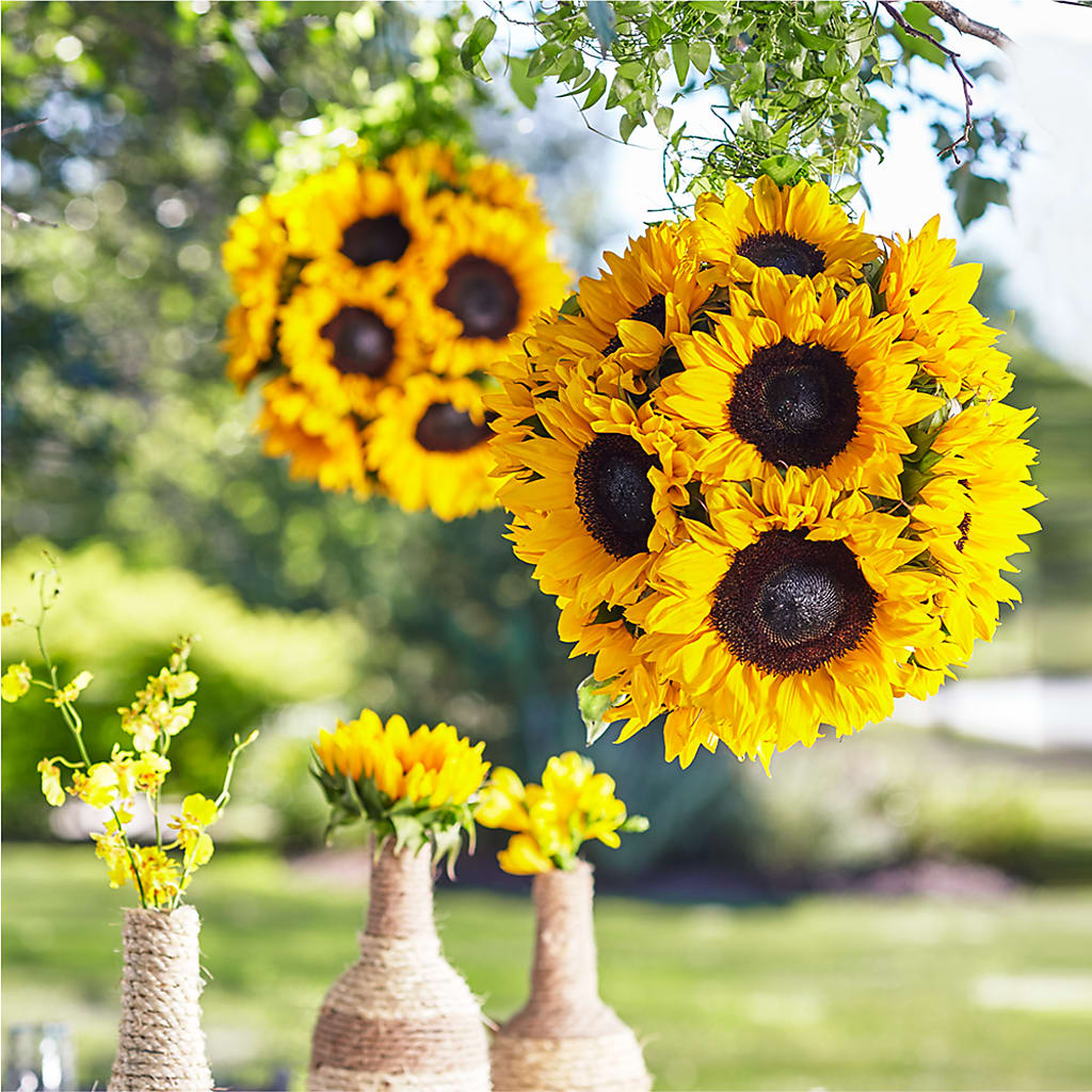 Sublime Garden Hanging Arrangement – Lolas Blooms, Somerset NJ