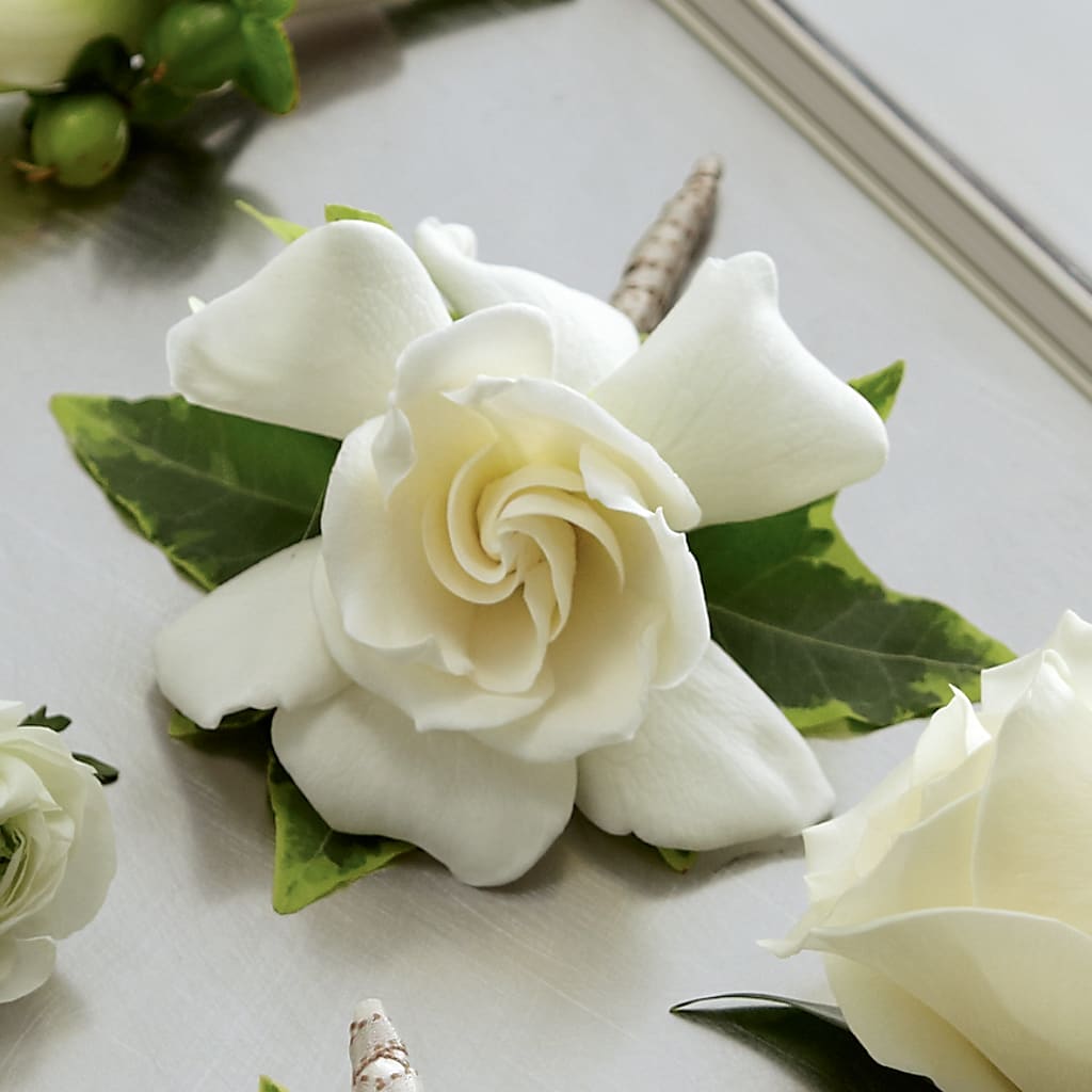 Gardenia Boutonniere – Lolas Blooms, Somerset NJ