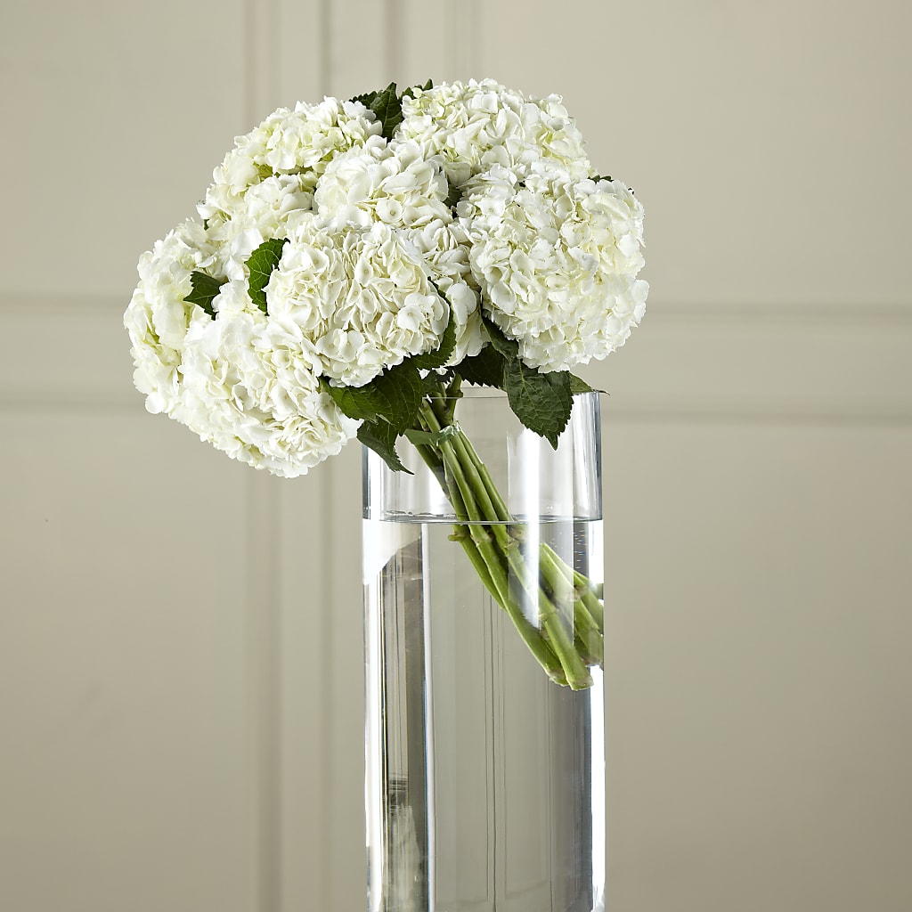 White Hydrangea Hand-Tied Bouquet – Lolas Blooms, Somerset NJ