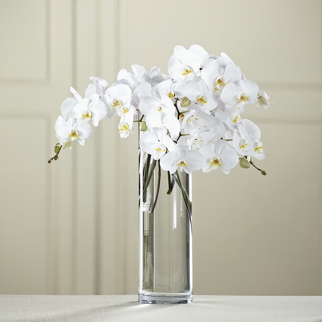 White Phalaenopsis Bouquet – Lolas Blooms, Somerset NJ