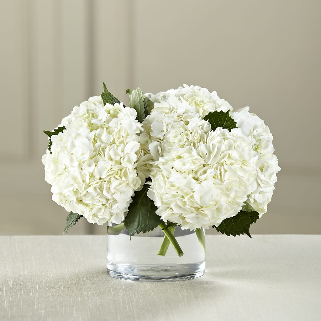 White Hydrangea Bouquet – Lolas Blooms, Somerset NJ