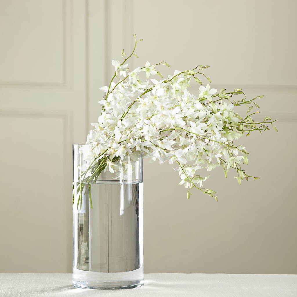 White Dendrobium Bouquet – Lolas Blooms, Somerset NJ