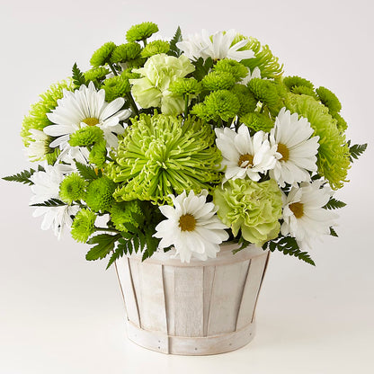 Lucky Charm Basket (Standard) –  Lolas Blooms, Somerset NJ