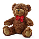 Adorable Plush Bear –  Lolas Blooms, Somerset NJ