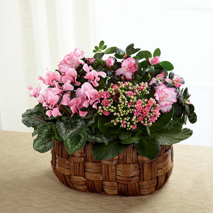 Pink Assortment –  Lolas Blooms, Somerset NJ