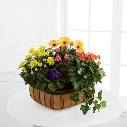 Gentle Blossoms Basket –  Lolas Blooms, Somerset NJ