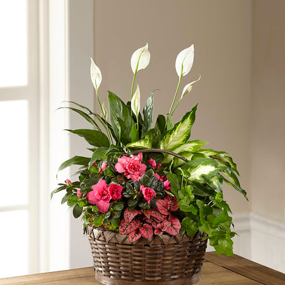 Dream in Pink Dishgarden –  Lolas Blooms, Somerset NJ