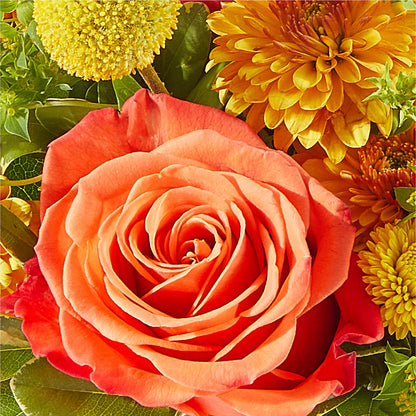Gourdgeous Pumpkin –  Lolas Blooms, Somerset NJ