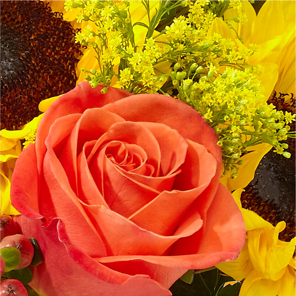 Pick of the Patch Pumpkin Bouquet –  Lolas Blooms, Somerset NJ