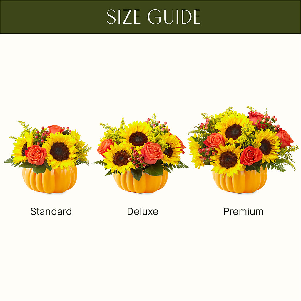 Pick of the Patch Pumpkin Bouquet –  Lolas Blooms, Somerset NJ