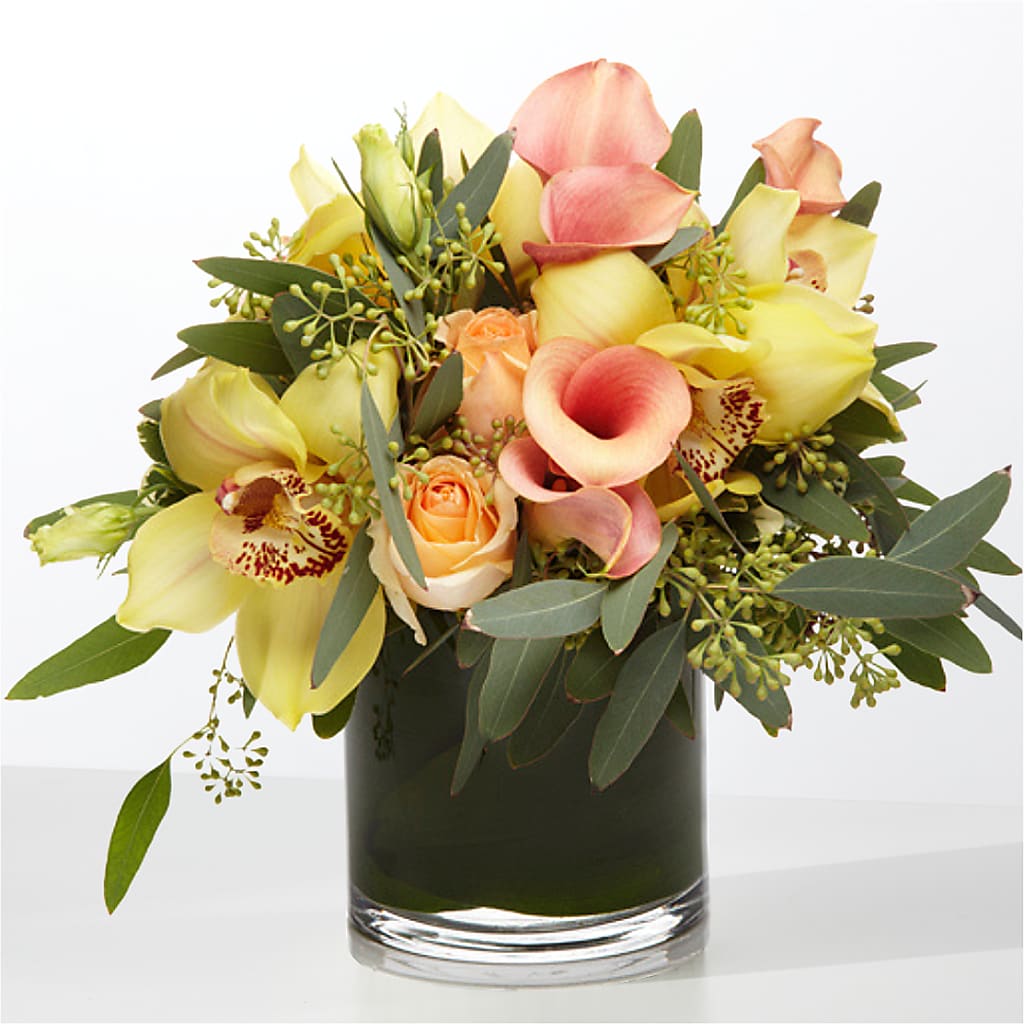 The Visionary –  Lolas Blooms, Somerset NJ