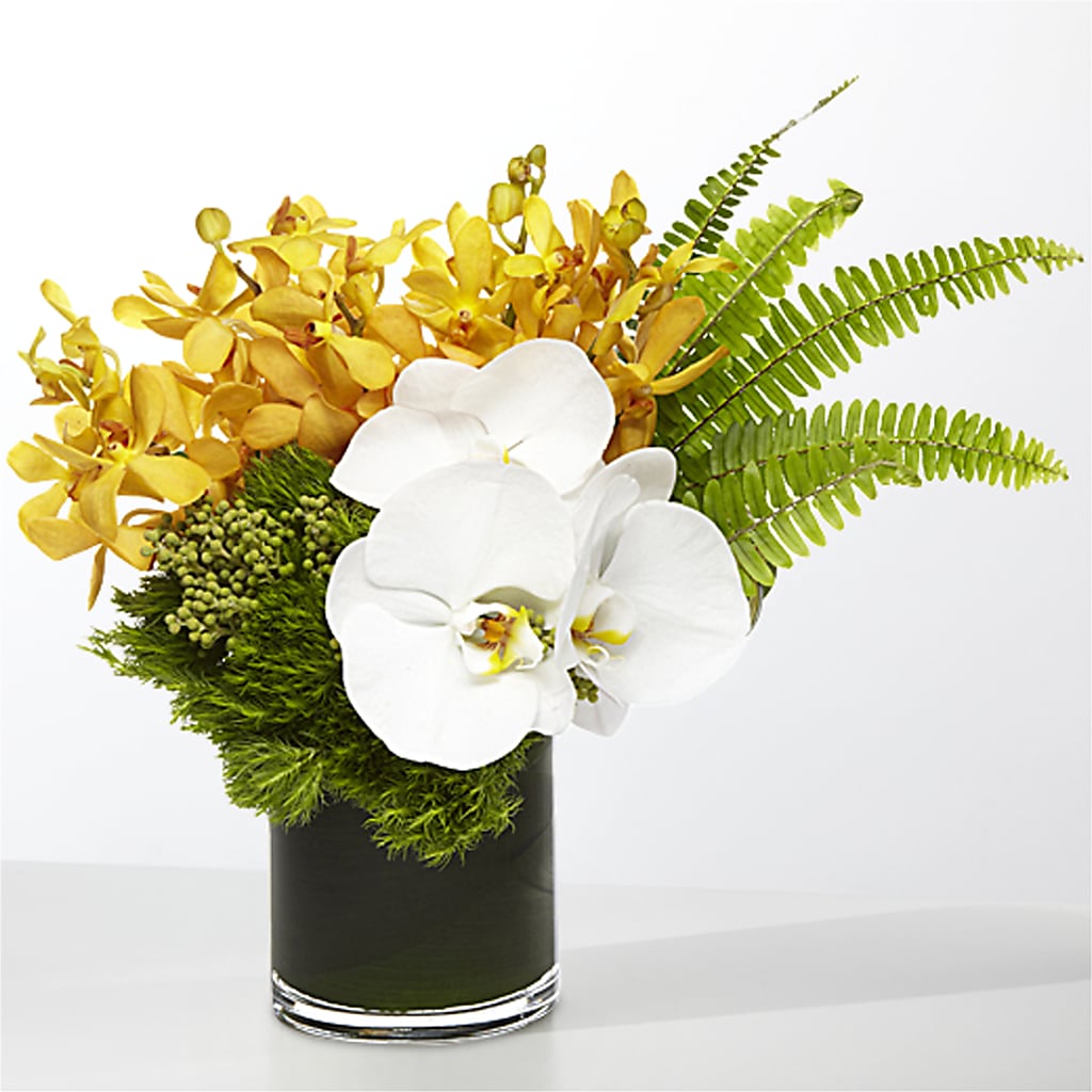 The Tropics –  Lolas Blooms, Somerset NJ