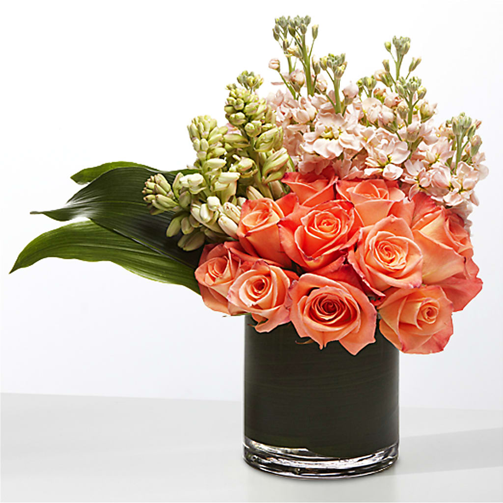 The Moment –  Lolas Blooms, Somerset NJ