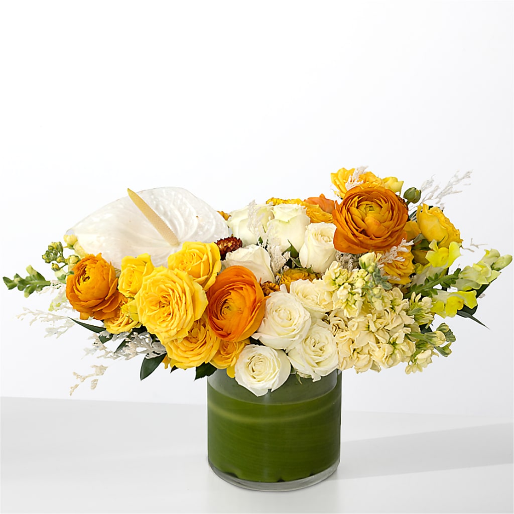 The Optimist –  Lolas Blooms, Somerset NJ
