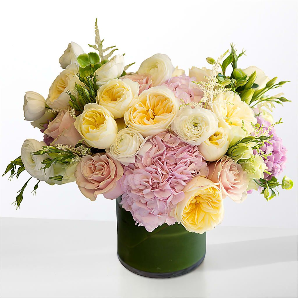 The Melody –  Lolas Blooms, Somerset NJ