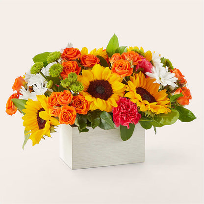 Sun-drenched Blooms Box Bouquet –  Lolas Blooms, Somerset NJ