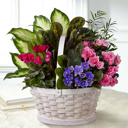 Peaceful Garden Planter –  Lolas Blooms, Somerset NJ