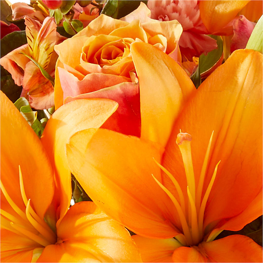 Afternoon Light Bouquet –  Lolas Blooms, Somerset NJ