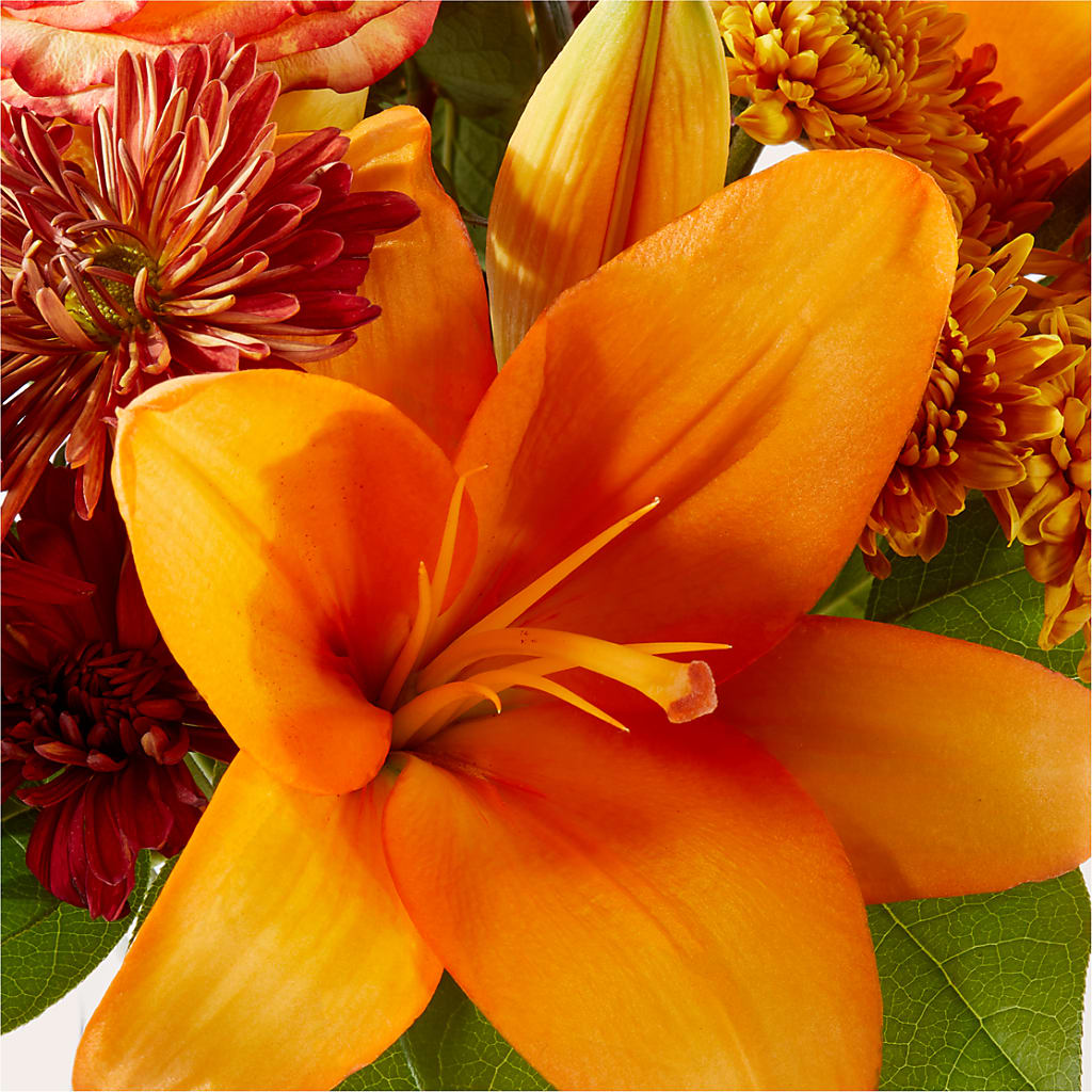 Autumnal Aroma Bouquet –  Lolas Blooms, Somerset NJ