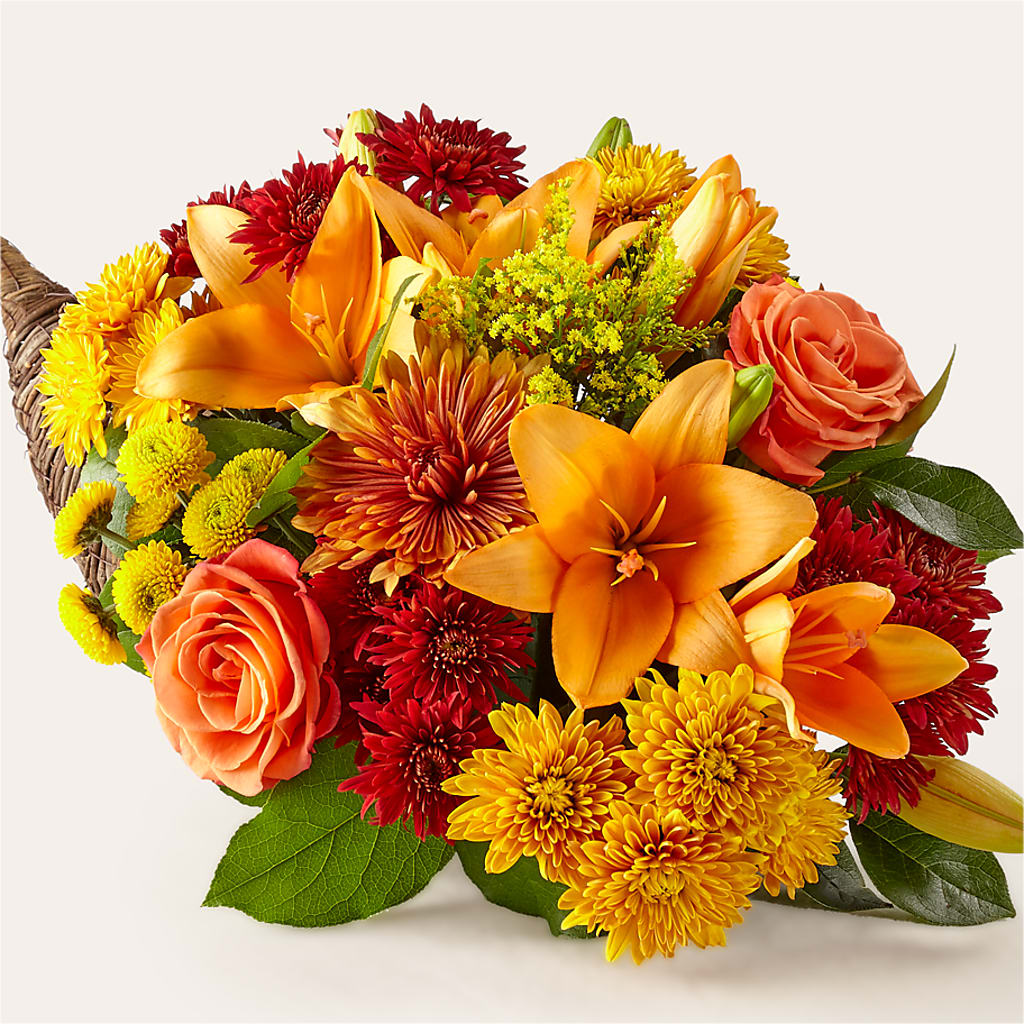 Feast of Color Cornucopia