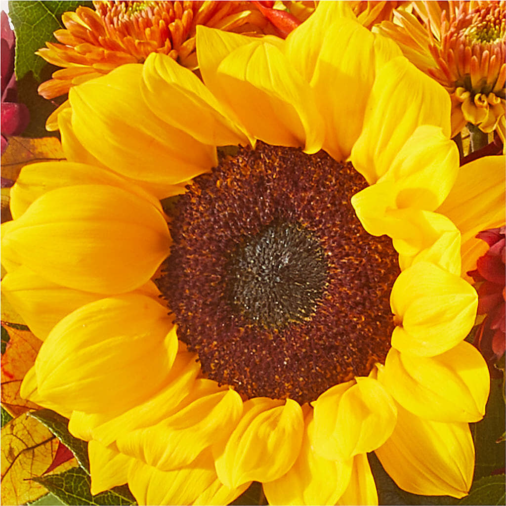 Sunny Side Bouquet –  Lolas Blooms, Somerset NJ