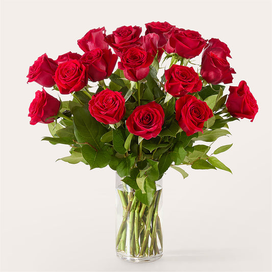 The One Red Rose Bouquet –  Lolas Blooms, Somerset NJ