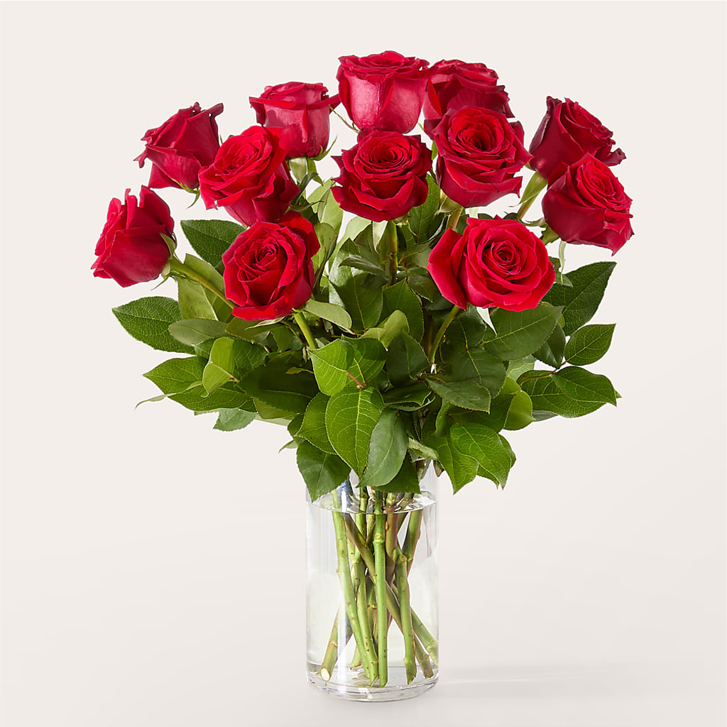 The One Red Rose Bouquet –  Lolas Blooms, Somerset NJ