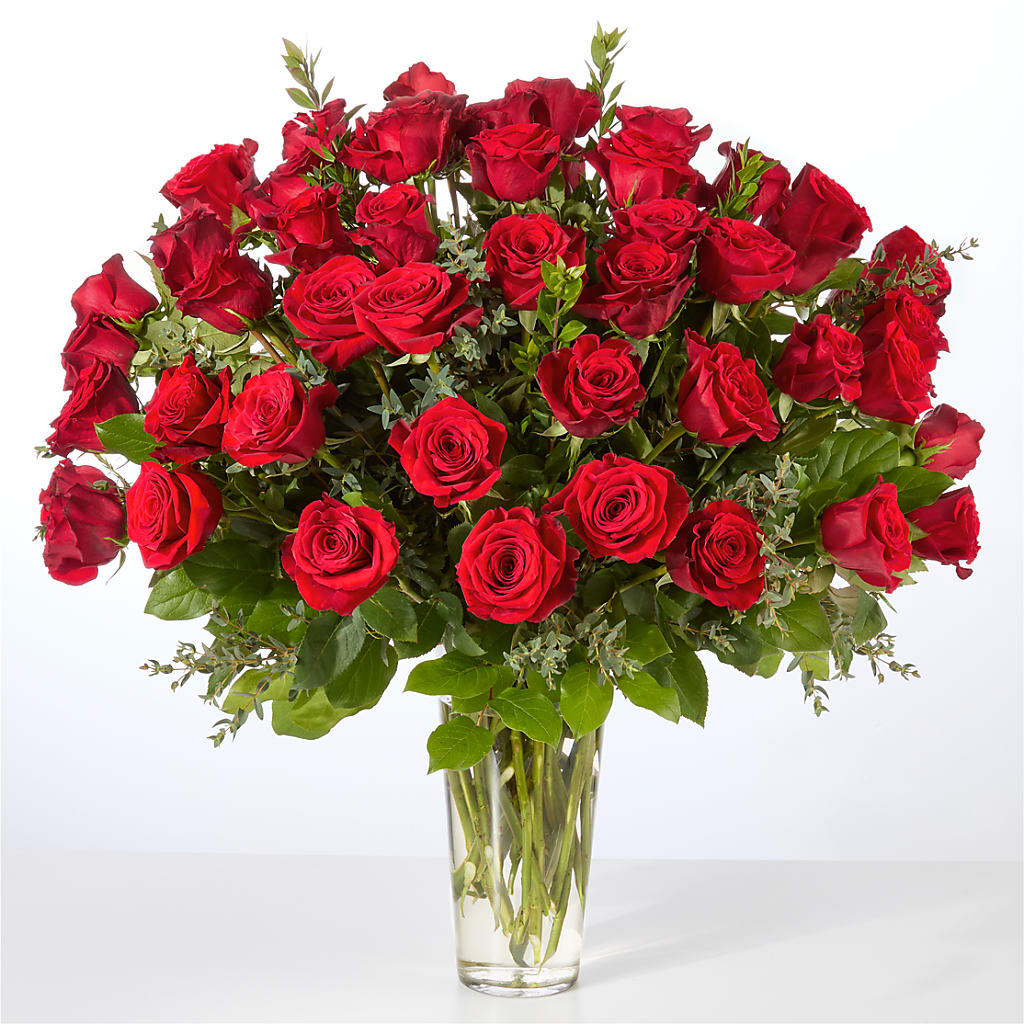 Forever Yours Fifty Stem Red Rose Bouquet –  Lolas Blooms, Somerset NJ