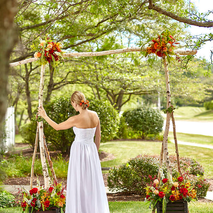 Arbor of Love Archway –  Lolas Blooms, Somerset NJ