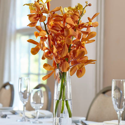 Orange Mokara Bud Vase –  Lolas Blooms, Somerset NJ