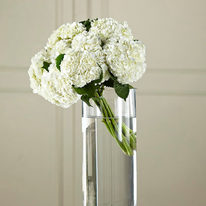 White Hydrangea Hand-Tied Bouquet –  Lolas Blooms, Somerset NJ