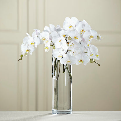 White Phalaenopsis Bouquet –  Lolas Blooms, Somerset NJ